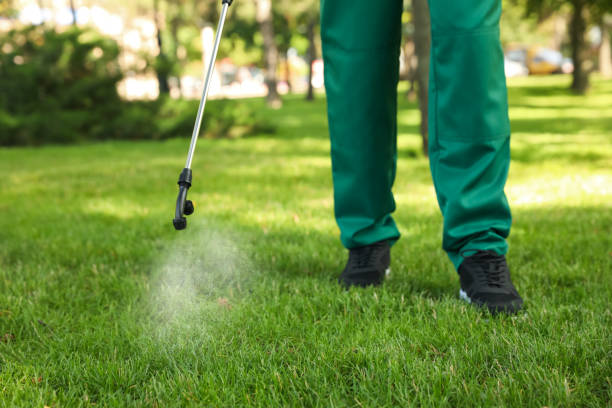 Best Bed Bug Extermination  in Columbus, GA