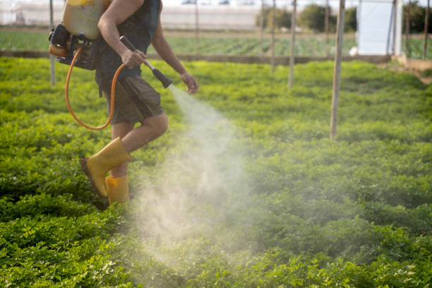 Best Best Pest Control Companies  in Columbus, GA