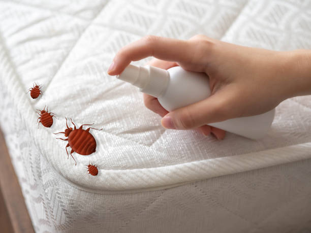 Best Insect Control  in Columbus, GA