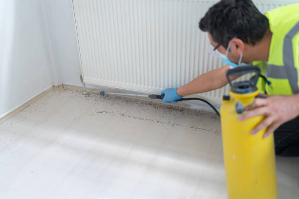 Best Termite Control Services  in Columbus, GA