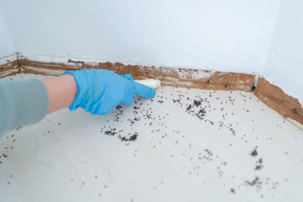 Best Mosquito Control Services  in Columbus, GA
