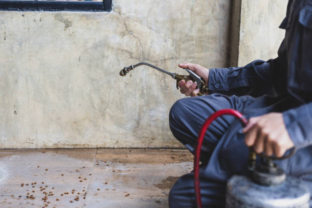 Best Pest Control Treatment  in Columbus, GA